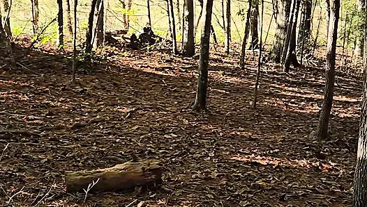 Naked quick cum on log seat while hiking along a wooded trail in public