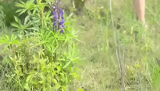 Naked girl in the forest