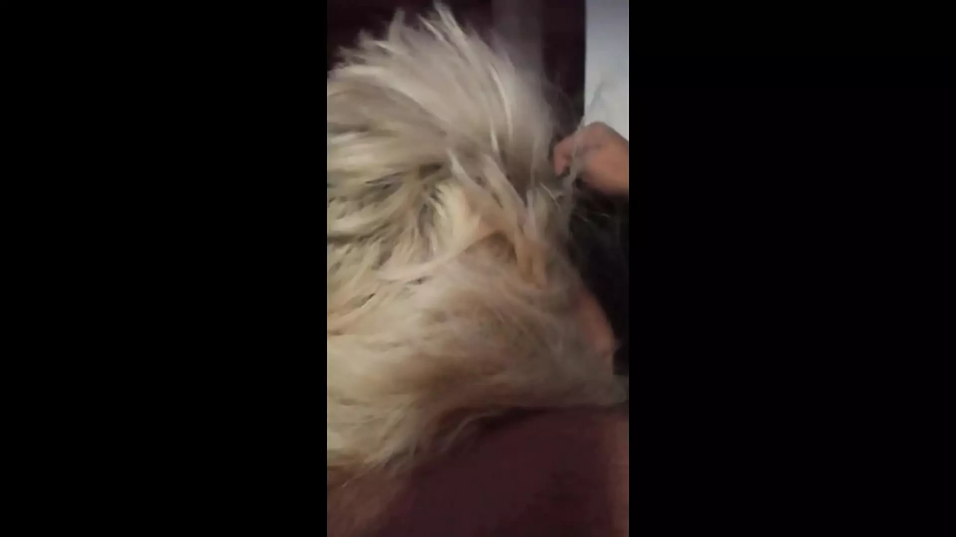 My bitch sucking and getting fucked