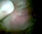 pussy playing 3