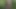 Cewek ini menjemputku dan mengajakku ke hutan untuk ngentot memek sempitku - lusttaste 4k