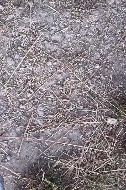 Crot sperma di luar ruangan, coli, ngocok kontol, toss