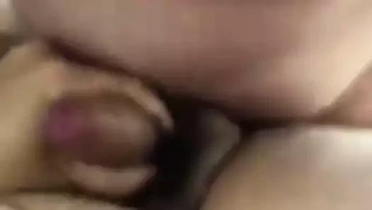 Çinli tombul döl