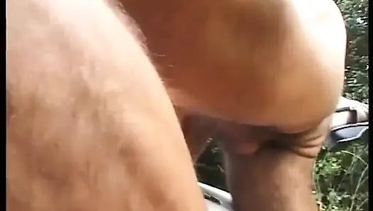 Çift Sevişmesi