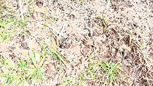 gehen sie draußen, dann pissen, muschi zeigen