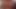 20190107 asstd 3 Petticoat