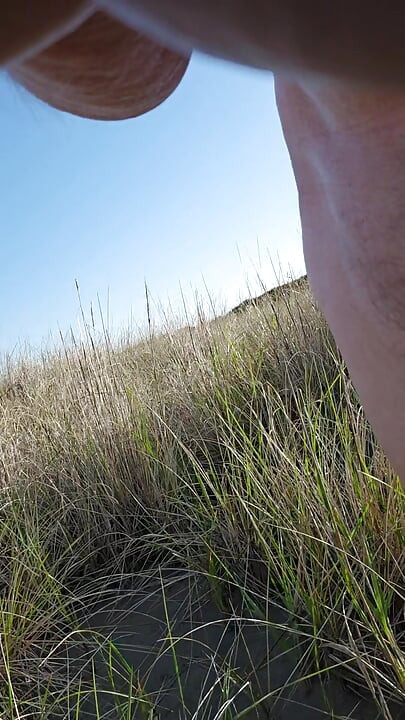 Another Beach Day