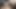 Giant Dick Hot Ladyboy Hottest Solo: Dick and Ass Masturbation and Very Exciting Vibrator Wet Ass Penetration!!