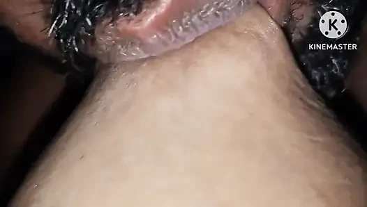 Desi dicke möpse