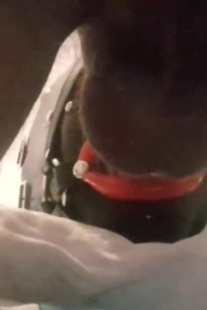 MILF dengan cincin gag bibir palsu kacau di mulut dan muka