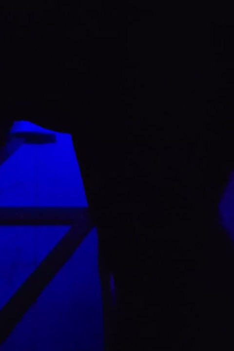Sex XXX Video Desi Piger