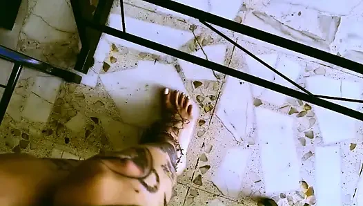 My Desk, My Rules, My Human Footstool