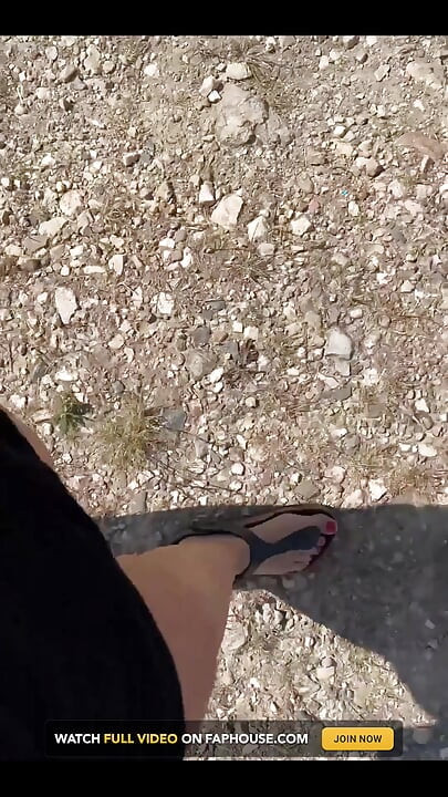 I'm Only Going for a Walk Today for One Reason