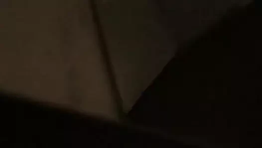 Eşek