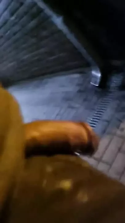 flashing and pissing at train station