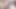 Robyn And Amelia Greene Frottage Cumshot