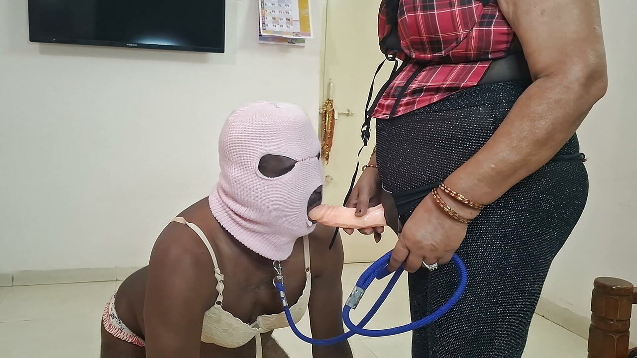 My Pet Needs Attention I Show Him His Place