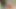 Muž indijske seoske žene Desi jebao ju je u džungli stavljajući ruku u njezinu pičku.devar ne bhabhi ke chut me hanth da