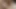 Latina big boobs fuck her daddy bareback so hard then cum inside his ass