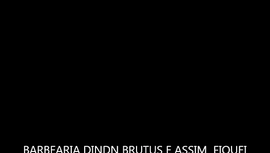 Tensor Din porn video – DIN DIN BRUTUS