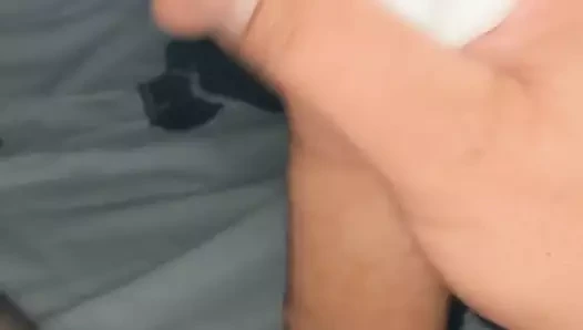 Seyahat kedi