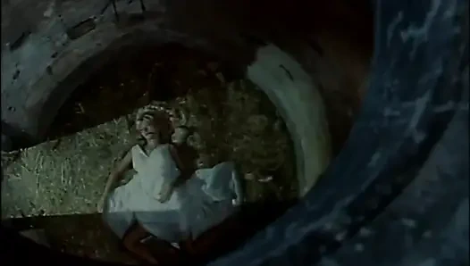 Beautiful blonde cock sucking pussy fucking in the castle