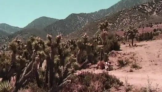 Gefesselte College-Beichten in der Wüste