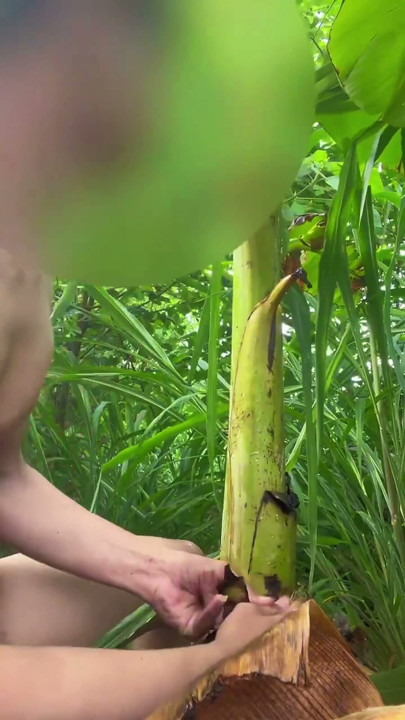 Thai guy fuck banana tree 2 | Clip 1