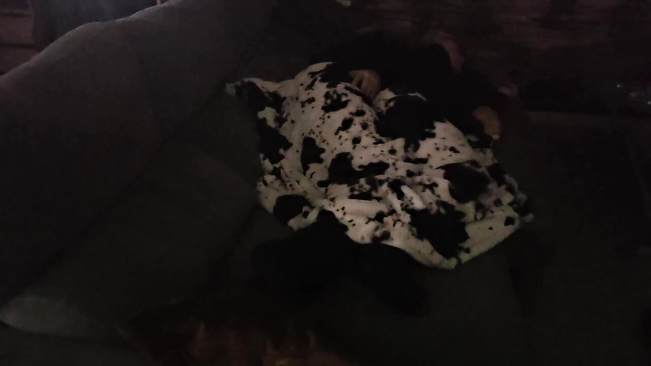 กูอยากงีบ เขาอยากเย็ดหีและตูดกู