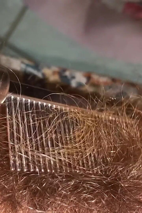 Brushing My Bush