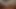 Beautiful girl masturbation at share room