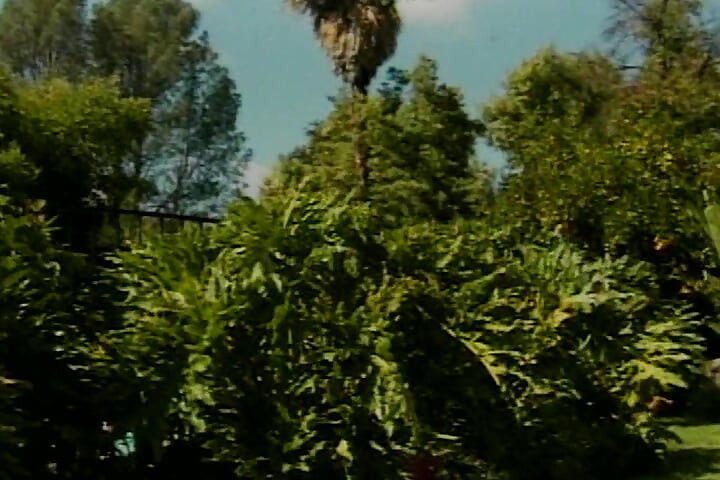 Amazing blonde babe gets a facial after outdoor fuck by the pool