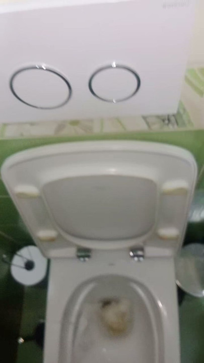 I like to watch and record myself urinating