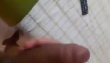 tranny shemale ts