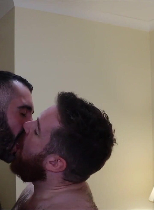 Bears Kissing