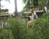 Pregled videozapisa