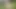 Masturbating outside