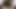 My Colombian Host Black Stepsister Alone we Decided To do Homemade Video of Her Deepthroat Dick Sucking Skills - Mastermeat1