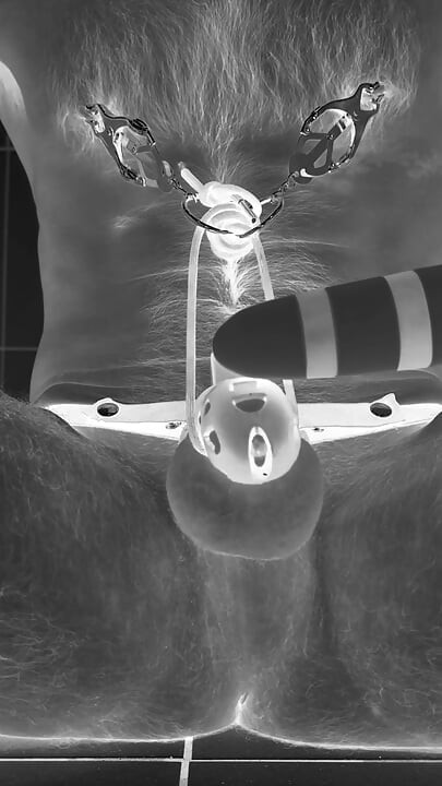 Multiple ruined orgasms in chastity cage with 30cm long penis plug
