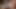 ワイルドライフ、完璧な熱いお尻、甘いおいしい喜び、ハードセックス