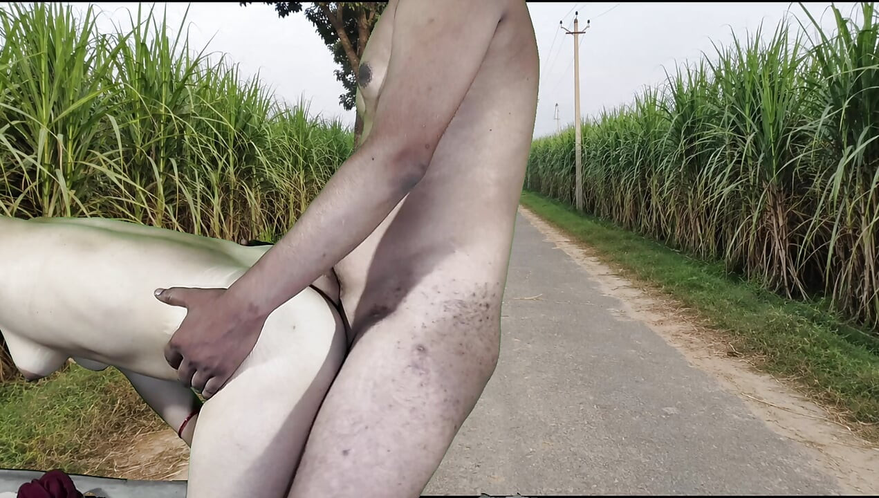 Fucked an unknown girl on the way to the farm.