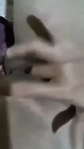 Assam girl fingering part 1