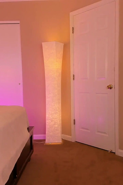 Ass Shaking Twerking & Stripping