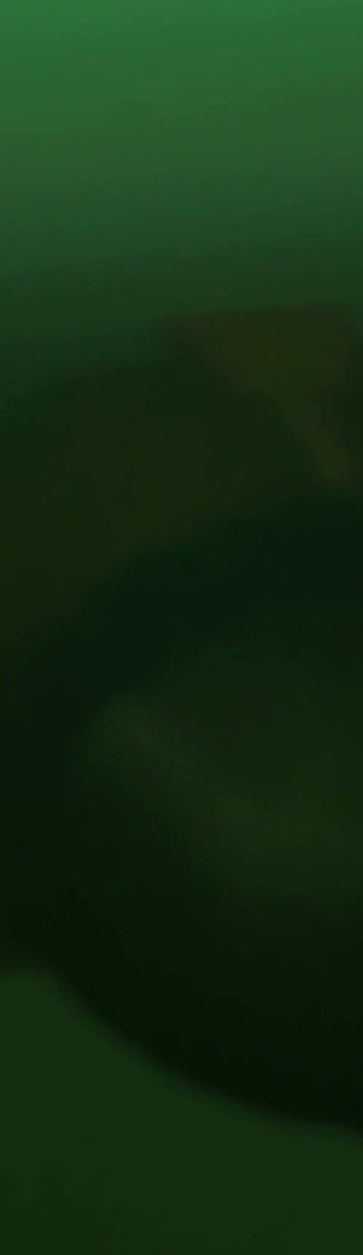 Night Vision: Balls Deep Anal Fuck with Bwc Dildo