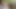 Loan4k – Analsex und du hast deinen eigenen Tattoo-Salon