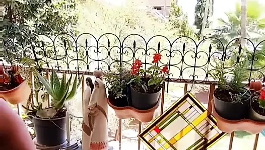 Поливаю мои цветы