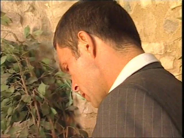 Harika DVD'deki travesti güzeller