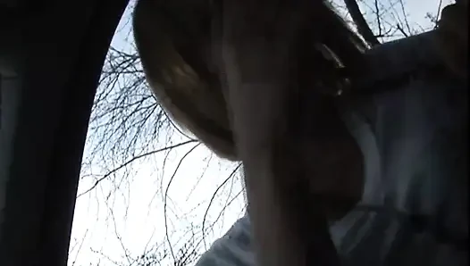 Masturbating big cock sucking in the park