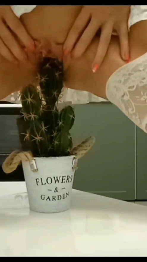 Crazy mom fucks by cactus | Clip 1