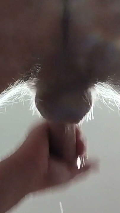 sucking dick and getting a mouthful of my cum | Clip 1